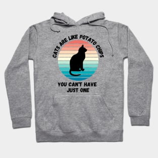 Cats Are Like Potato Chips You Cant Have Just One Hoodie